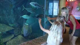 kids-love-the-aquarium