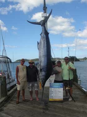 marlin