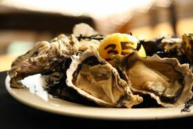 oysters