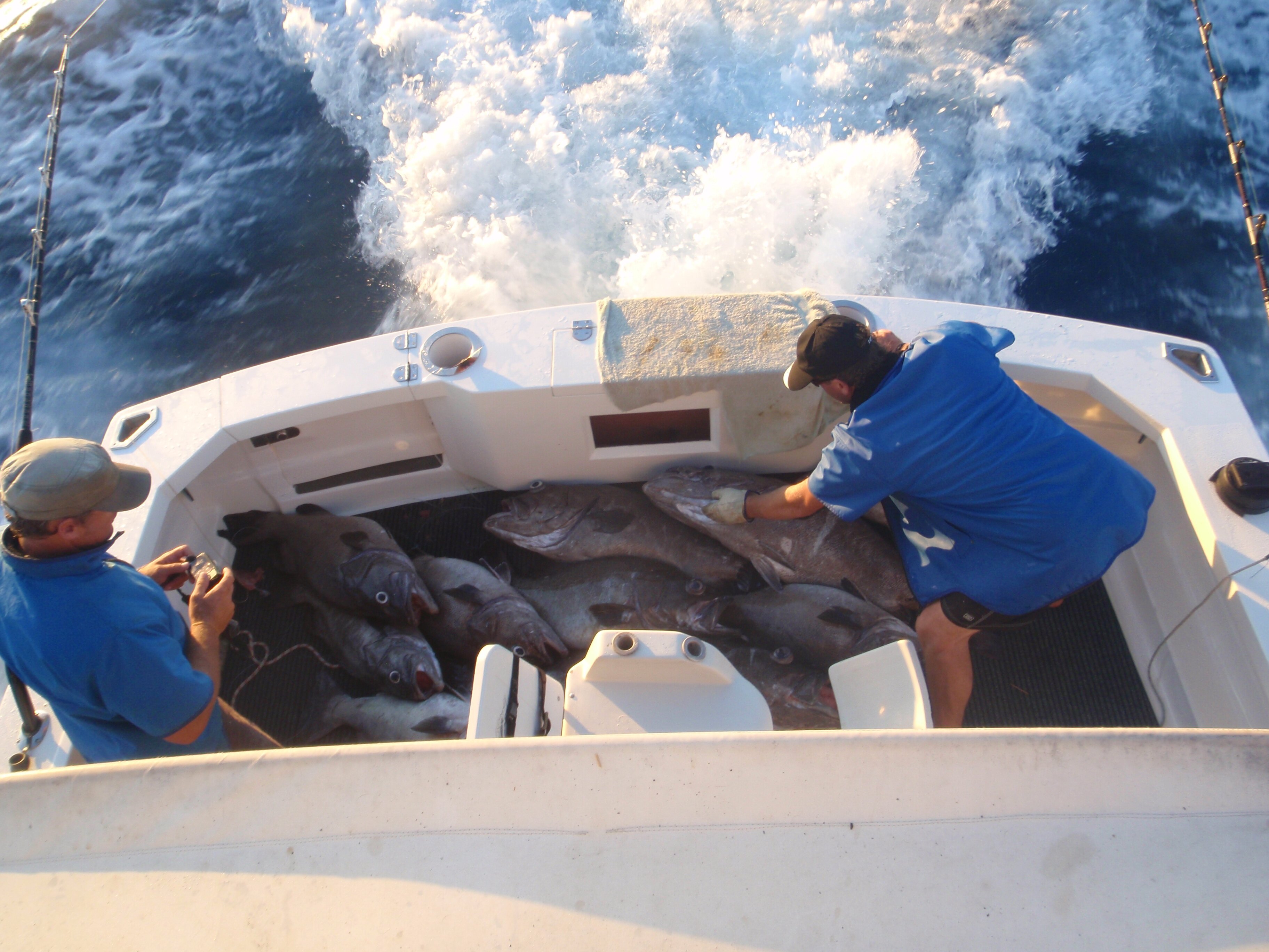 A good day fishing!